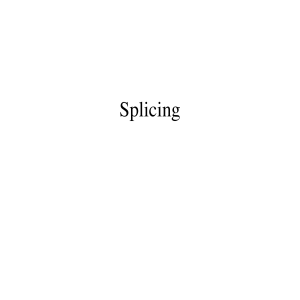 Splicing: Molecular Biology Process