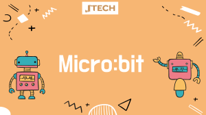 Micro:bit Timer Activity: Variables & Loops for Electronic Pet