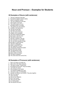 Noun and Pronoun Examples for Students