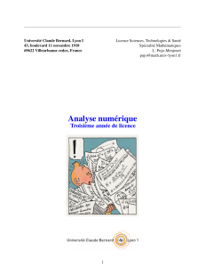 Analyse num&eacute;rique - Cours de licence 3&egrave;me ann&eacute;e