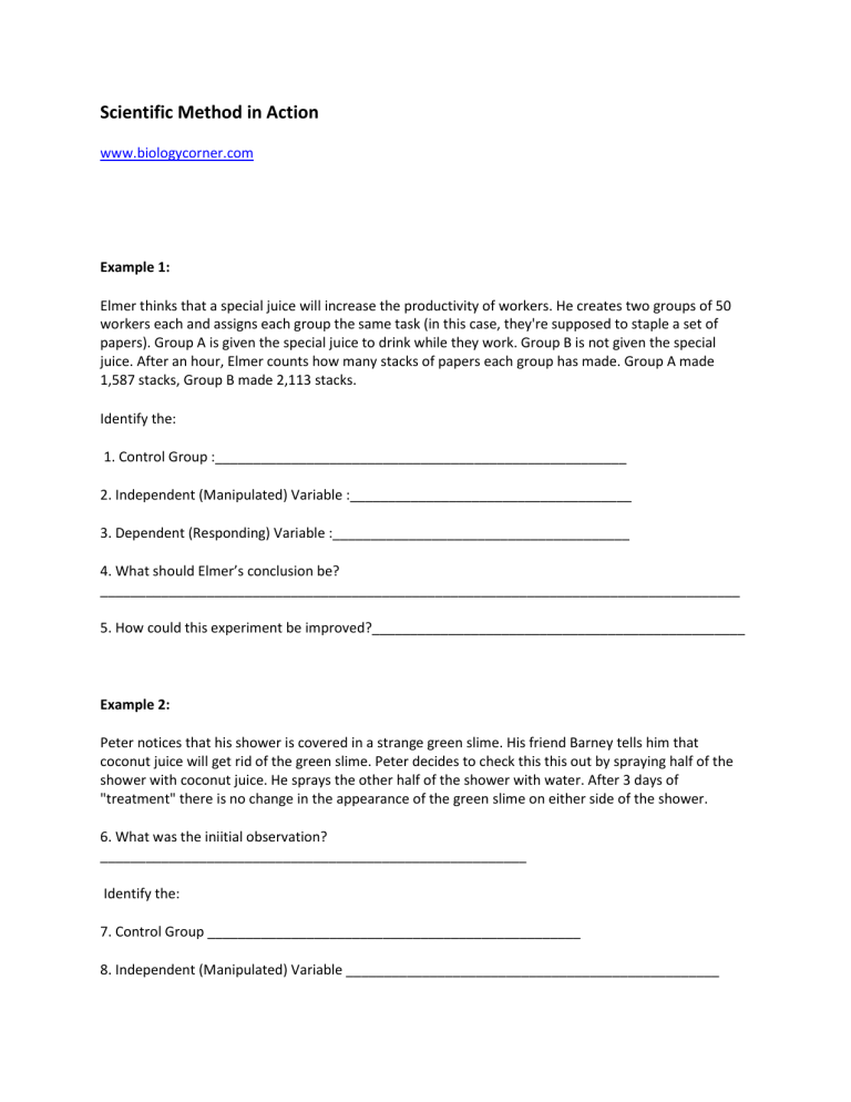 Scientific Method in Action Worksheet - Biology Experiments