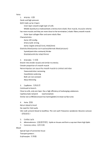 Veins and Cardiovascular System Study Notes