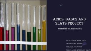 Acids Bases and Salts Project Chemistry Presentation