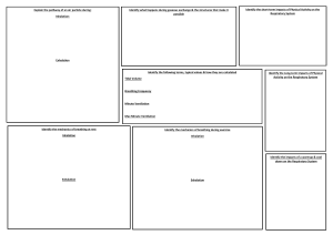 Respiratory System Worksheet: Inhalation, Exhalation & Exercise