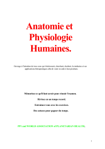 Anatomie et Physiologie Humaines : Guide d'&eacute;tude