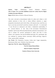 New Corrosion Inhibition System for Carbon Steel