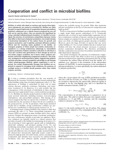 Cooperation and Conflict in Microbial Biofilms
