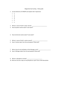 Biogeochemical Cycling Video Guide Questions