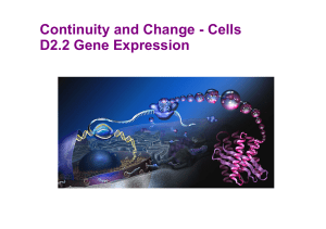 Gene Expression Textbook Chapter