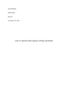 Lab Report: Specific Heat Capacity of Water and Metals