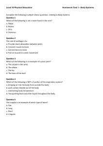Level 10 PE Homework: Body Systems Questions