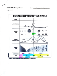 Female Reproductive Cycle Assignment