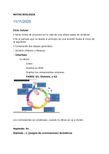 Notas de Biolog&iacute;a: Ciclo Celular y Gen&eacute;tica