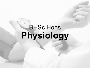 BHSc Hons Physiology Program: Cardiovascular Focus