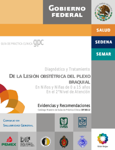 Gu&iacute;a Cl&iacute;nica: Lesi&oacute;n Obst&eacute;trica del Plexo Braquial en Ni&ntilde;os