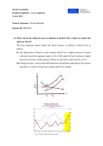 Brazilian Stagflation Case Assignment - MGMT 914