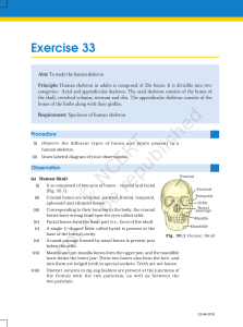 Exercise 33: Study of Human Skeleton (Lab Manual)