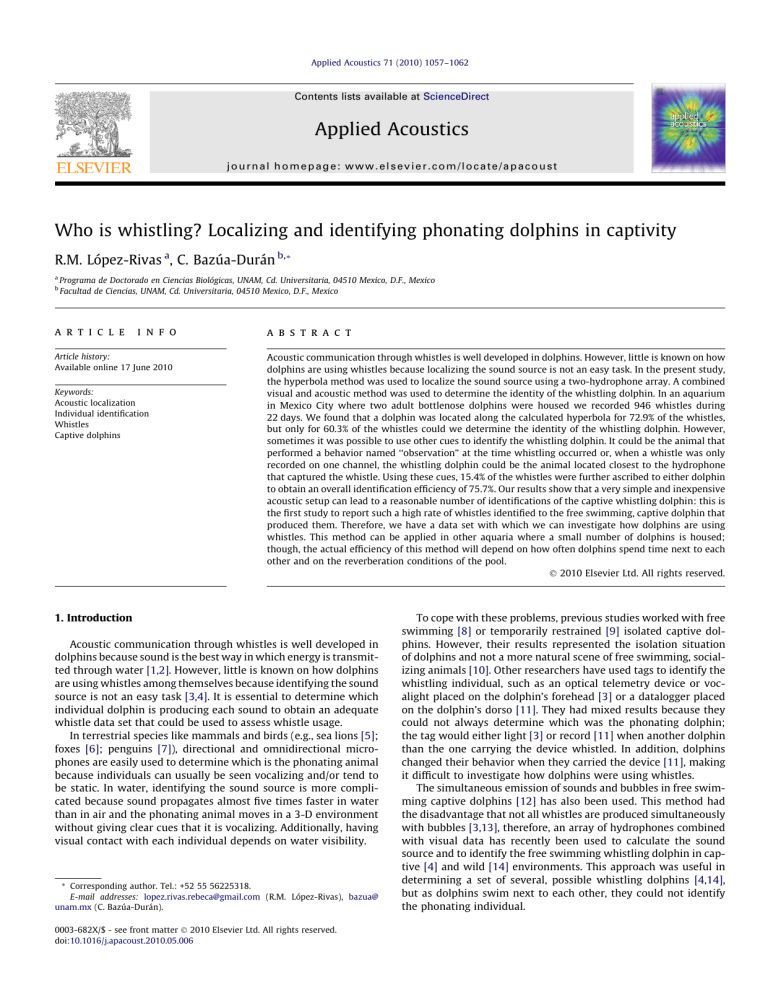 Who is whistling? Localizing and identifying phonating dolphins in ...