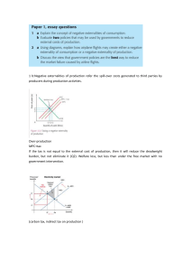 Negative Externalities Essay Questions & Analysis