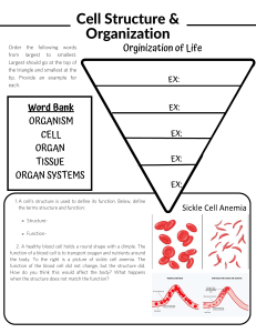 Cell Structure & Organization Worksheet