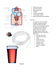 Heart Circulatory System Model Activity