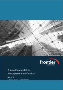 Future Financial Risk Management in the NEM Report