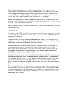 Water Molecules & Hydrogen Bonds: Chemistry Basics