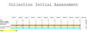 Collection Initial Assessment Form for Archival Materials