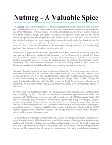 Nutmeg: A Valuable Spice