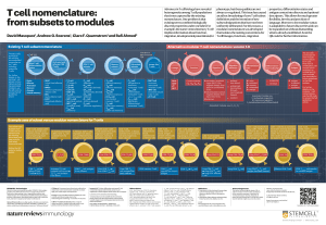 T Cell Nomenclature: Subsets to Modular System