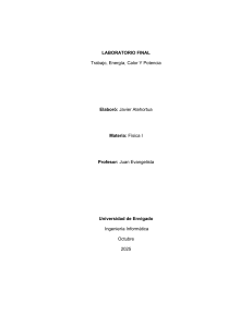 Informe de Laboratorio: Trabajo, Energ&iacute;a, Calor y Potencia