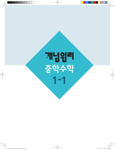 개념원리 1-1