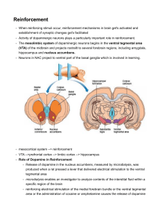 Reinforcement: Dopamine's Role in the Brain