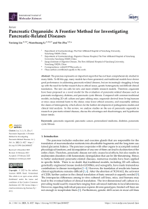Pancreatic Organoids: A Frontier Method for Investigating Pancreatic-Related Diseases