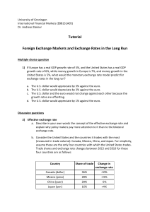 University of Groningen Tutorial: Foreign Exchange Markets