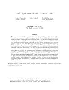 Bank Capital and Private Credit Growth: Research Paper