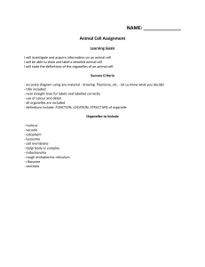 Animal Cell Assignment: Draw & Label Organelles