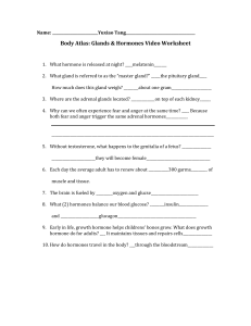 Body Atlas Glands & Hormones Video Worksheet