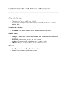 Cell Cycle Study Guide: Growth, Mitosis, Cancer