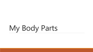My Body Parts: List of Human Body Parts for Kids
