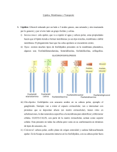 Lipids, Membranes and Transport: Cell Biology