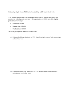 Calculating Productivity: Single & Multifactor Examples