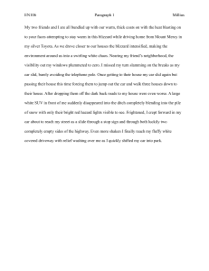 Narrative Essay: Driving Through a Blizzard