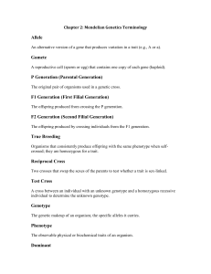 Mendelian Genetics Terminology: Key Terms & Definitions