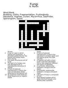 Fungi Crossword Puzzle - Biology Vocabulary