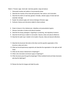 Week 4 Thoracic Cage Anatomy Study Guide