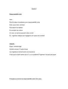 Cours 4 : Responsabilit&eacute; civile