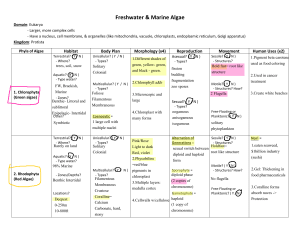 Freshwater & Marine Algae: Phyla Overview
