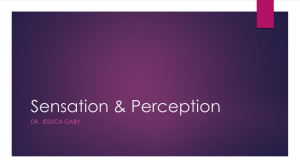 Sensation & Perception Lecture by Dr. Jessica Gaby