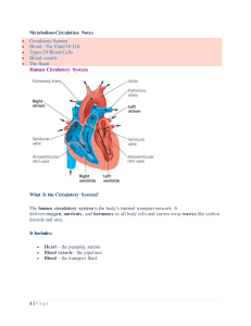 Metabolism-Circulation Notes: Human Circulatory System